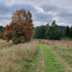 Участок Trakuose PARDUODAME DU BESIRIBOJANČIUS SKLYPUS, KURIŲ PLO - NT.ROLTAX.LT