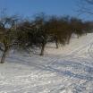 Sklypas Vilniuje Vilniaus m., Naujoji Vilnia, Liškiavos g. (buvusi - NT Portalas.lt