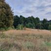 Sklypas Trakuose PARDUODAME DU BESIRIBOJANČIUS SKLYPUS, KURIŲ PLO - NT Portalas.lt