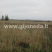 Участок  Parduodamas žemės sklypas Ruslių km.Graži viet