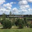 Sklypas  1.98 Ha Žemės Sklypas Kretingalės MiestelyjeIde
