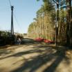 Sklypas Kauno-rajone Parduodamas miškas (pušynas) 5,00 hektarai, gra - NT Portalas.lt