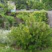 Namas Klaipedos-rajone Parduodamas sodo sklypas su statiniais: murinis ga - NT Portalas.lt