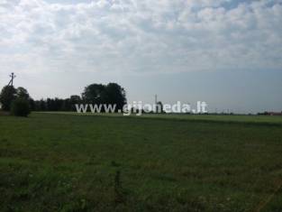 Участок  Parduodami 36 a Kalotėje, kaina  30000 EurKontakt - NT.ROLTAX.LT