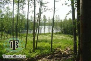 Sklypas Utenoje 1,97 ha žemės sklypas Antilgės k.,Utenos raj.,  - NT Portalas.lt