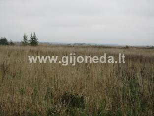 Участок  Parduodamas žemės sklypas Ruslių km.Graži viet - NT.ROLTAX.LT