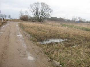 Участок  11.88 araiDauparuose nuo asfalto apie 500 metru, a - NT.ROLTAX.LT