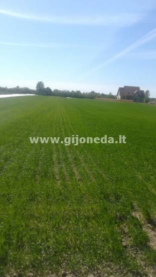 Участок  Parduodamas labai geras sklypas 0,5 ha Gargžduose - NT.ROLTAX.LT