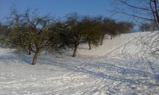 Sklypas Vilniuje Vilniaus m., Naujoji Vilnia, Liškiavos g. (buvusi - NT Portalas.lt